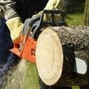 Chainsaws